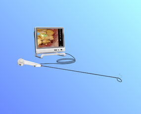 一次性使用电子输尿管肾盂内窥镜导管